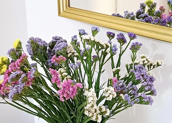 Natasahvar Hvar Town